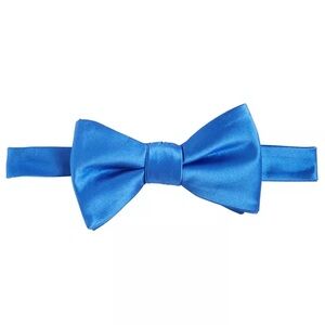 Tayion Collection Men's Royal Blue Solid Tie